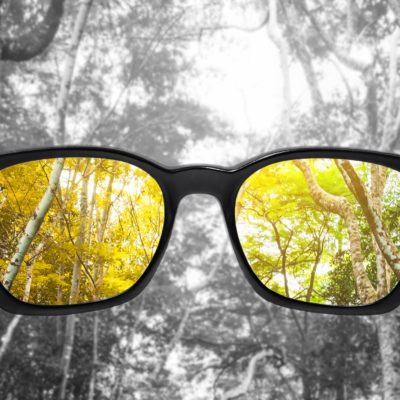Glasses with forest, selected focus on lens,  colour blindness glasses