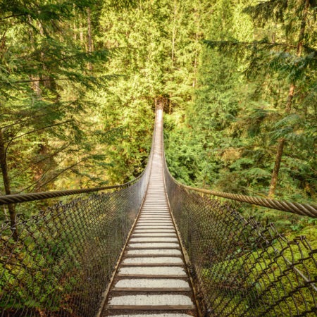 Suspension bridge in Lynn Canyon park in Vancouver
