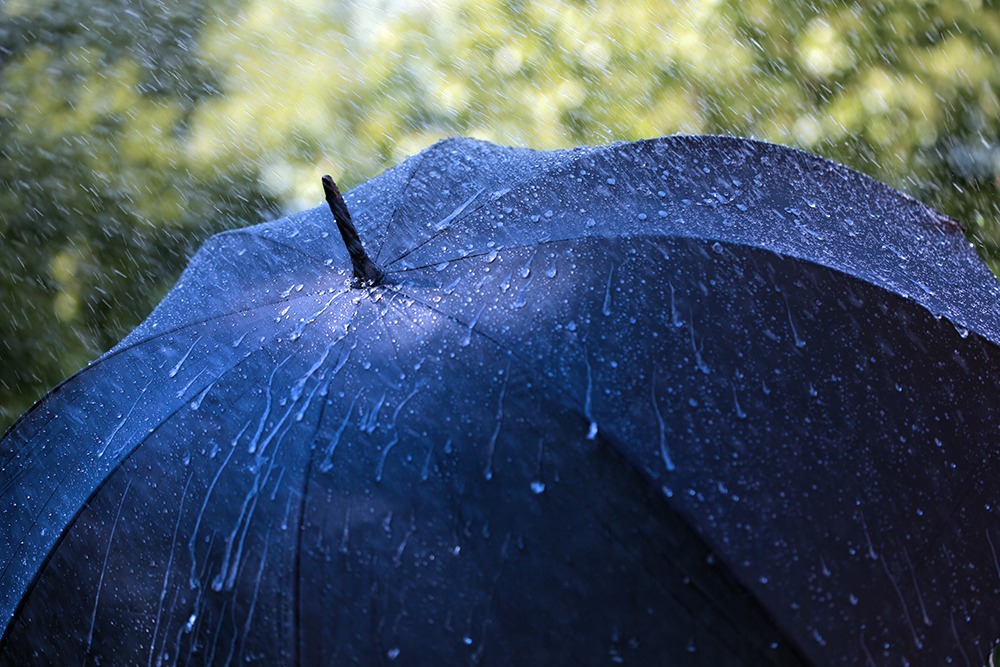Dark blue umbrella protects from the rain