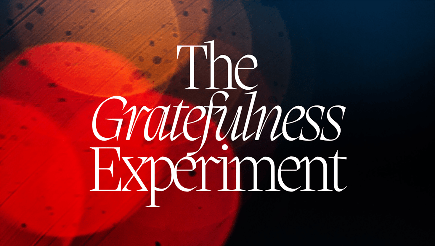 The Gratefulness Experiment 3